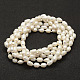 Natural Pearl Beads Necklaces(NJEW-F144-03-01)-2