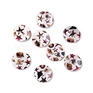 2-Hole Freshwater Shell Buttons, Flat Round, Coffee, 14x2mm, Hole: 2mm(SHEL-A004-01C)