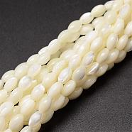 Natural Trochid Shell/Trochus Shell Beads Strands, Oval, Creamy White, 6~7x4~5mm, Hole: 0.8mm, about 60pcs/strand, 15.75 inch(SSHEL-K008-06)