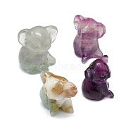 Natural Fluorite Sculpture Display Decorations, for Home Office Desk, Koala, 24~27x26~30.5x29~30mm(G-F719-57A)