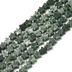 Natural Green Spot Jasper Beads Strands, Star, 5.5~6x5.5~6x2.5mm, Hole: 1mm, about 76pcs/strand, 15.31~15.35''(38.9~39cm)(G-H087-C01-01)