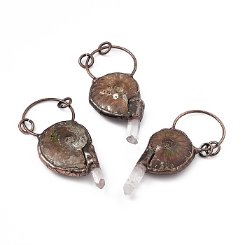 Natural Fossil Big Pendants, Spiral Shell Charms, with Rack Plating Red Copper Tone Brass Findings and Quartz Crystal, Cadmium Free & Lead Free, 74~77x30~32x10~11mm, Ring: 9x1.5mm, Hole: 6mm