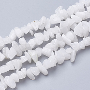 Natural White Jade Gemstone Beads Strands, Chip, 6~20x4~8x1.5~8mm, Hole: 1mm, about 209pcs/strand, 35.1 inch(G-S280-19)