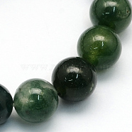 Natural Moss Agate Round Beads Strands, 6.5mm, Hole: 1mm, about 63pcs/strand, 15.5 inch(G-S151-6mm)