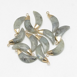 Natural Labradorite Pendants, Faceted, Moon, with Golden Tone Brass Findings, 26~28x10~11x5~6mm, Hole: 1~2mm(G-Q494-80D)