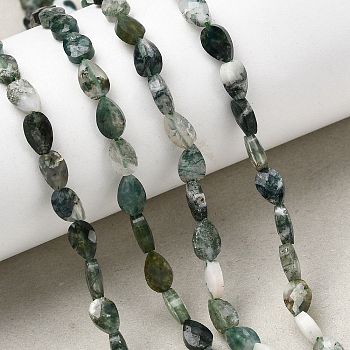 Natural Moss Agate Beads Strands, Teardrop, Faceted, 6x4x2.5mm, Hole: 0.6mm, about 62~68pcs/strand, 15.16~15.55''(38.5~39.5cm)