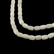 Barrel Natural Trochid Shell/Trochus Shell Beads Strands, 6~7x5mm, Hole: 1mm, about 59pcs/strand, 15.7 inch(SSHEL-F290-25)