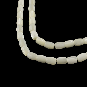 Barrel Natural Trochid Shell/Trochus Shell Beads Strands, 6~7x5mm, Hole: 1mm, about 59pcs/strand, 15.7 inch
