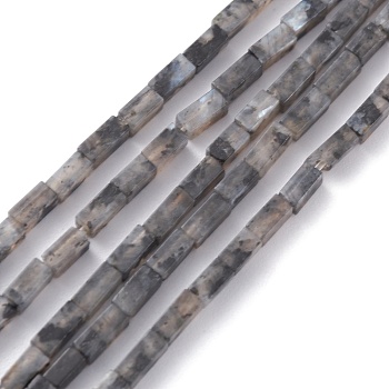 Natural Black Larvikite Bead Strands, Cuboid, 3.5~6x2.2x2.2mm, Hole: 0.9mm, about 79~83pcs/strand, 15.04~15.24''(38.2~38.7cm)