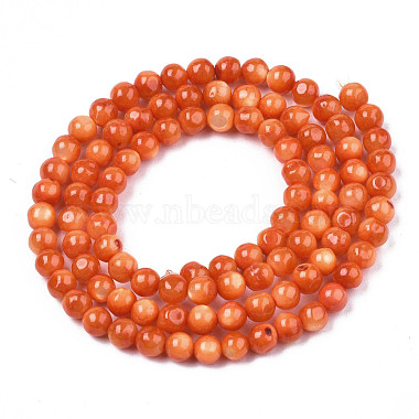 Eau douce naturelle de coquillage perles brins(SHEL-N003-24-B06)-2