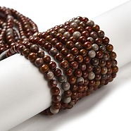 Natural Jasper Beads Strands, Round, 4~5mm, Hole: 0.7mm, about 88pcs/strand, 15.67''(39.8cm)(G-H298-A05-01)