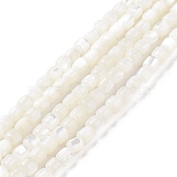 Natural Trochus Shell Beads Strands, Dyed, Column, White, 3.5x3.5mm, Hole: 0.8mm, about 113pcs/strand, 15.59''(39.6cm)(SSHEL-H070-02G)