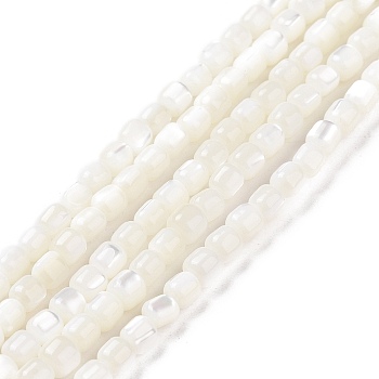Natural Trochus Shell Beads Strands, Dyed, Column, White, 3.5x3.5mm, Hole: 0.8mm, about 113pcs/strand, 15.59''(39.6cm)