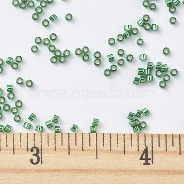 MIYUKI Delica Beads(X-SEED-J020-DB0605)-4