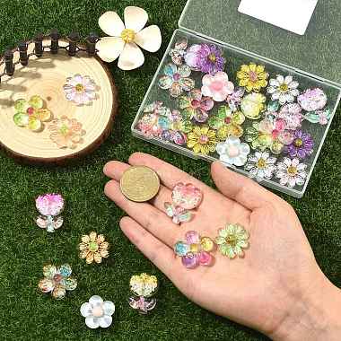 30Pcs 15 Styles Acrylic Cabochons(MACR-SZ0001-91)-3