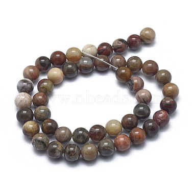 Chapelets de perles en bois pétrifié naturel(G-I254-07B)-2