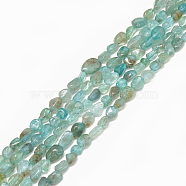 Natural Apatite Beads Strands, Tumbled Stone, Nuggets, 4~15x4~8x3~7mm, Hole: 1mm, about 40~70pcs/strand, 15.7 inch(G-S301-15)