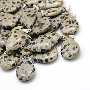Teardrop Natural Dalmatian Jasper Pendants, with Platinum Tone Brass Findings, 25~29x16~17x5~6mm, Hole: 2x7mm(G-Q368-23)