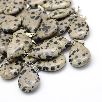 Teardrop Natural Dalmatian Jasper Pendants, with Platinum Tone Brass Findings, 25~29x16~17x5~6mm, Hole: 2x7mm