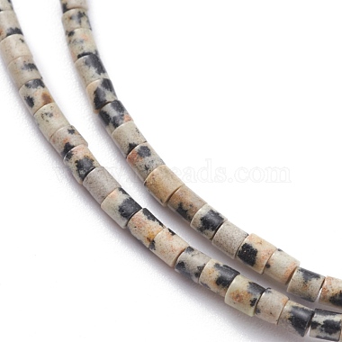 Natural Dalmatian Jasper Beads Strands(G-H255-10)-2