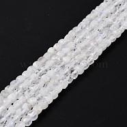 Natural Rainbow Moonstone Beads Strands, Faceted, Cube, Grade AA, 4x4x4mm, Hole: 1mm, about 95pcs/strand, 15.35 inch(39cm)(G-K315-A11)