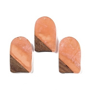 Resin & Wood Pendants, Arch Charms, Light Salmon, 38x22.5x3.5mm, Hole: 2mm(WOOD-F015-13A)