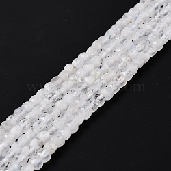 Natural Blue Moonstone Beads Strands, Faceted, Cube, Grade AA, 4x4x4mm, Hole: 1mm, about 95pcs/strand, 15.35 inch(39cm)(G-K315-A11)