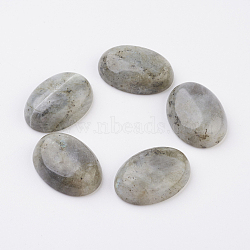 Natural Labradorite Flat Back Cabochons, Oval, 18x13mm(G-G741-13x18mm-18)