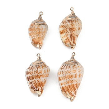 Natural Shell Pendants, Shell Shape Charms, 34.5~44x18~23x15~18mm, Hole: 1.5mm