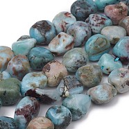 Natural Larimar Beads Strands, Nuggets, Tumbled Stone, 8~10x8~9x5.5~6mm, Hole: 0.5mm, about 43pcs/strand, 15.55 inch(39.5cm)(X-G-L493-53)