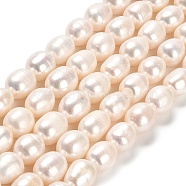 Natural Cultured Freshwater Pearl Beads Strands, Rice, Grade 2A, Linen, 9~11.5x8~9mm, Hole: 0.5mm, about 33~34pcs/strand, 13.39~13.66 inch(34~34.7cm)(PEAR-E016-061)