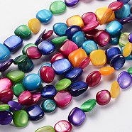 Erose Natural Freshwater Shell Beads Strands, Dyed, Chip, Mixed Color, 7~14x6~10mm, Hole: 1mm, about 80pcs/strand, 34 inch(SHZM002)