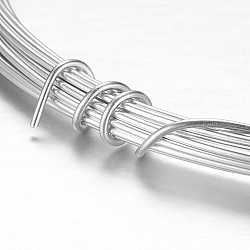Round Aluminum Wire, Bendable Metal Craft Wire, for Beading Jewelry Craft Making, Silver, 17 Gauge, 1.2mm, 10m/roll(32.8 Feet/roll)(AW-D009-1.2mm-10m-01)