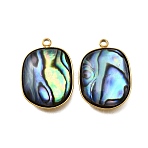 304 Stainless Steel Pave Natural Paua Shell Pendants, Ion Plating(IP), Real 18K Gold Plated, Square, 22x15.5x4mm, Hole: 1.6mm(STAS-Z125-01B-G)