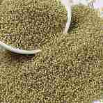 MIYUKI Round Rocailles Beads, Japanese Seed Beads, (RR2250), 15/0, 1.5mm, Hole: 0.7mm, about 5555pcs/10g(X-SEED-G009-RR2250)
