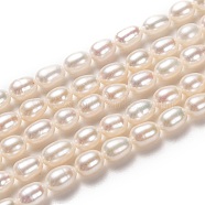 Natural Cultured Freshwater Pearl Beads Strands, Rice, Bisque, 6~7x5mm, Hole: 0.7mm, about 54pcs/strand, 14 inch(35.5cm)(PEAR-L033-67-01)