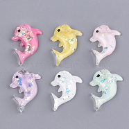 Resin Cabochons, with Shell Chip, Dolphin, Mixed Color, 26x21x5mm(CRES-T011-10)