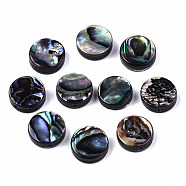 Natural Abalone Shell/Paua Shell Beads, Flat Round, Colorful, 10x3.5mm, Hole: 0.8mm(SSHEL-T014-14B)