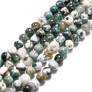 Natural Tree Agate Beads Strands,  Round, Medium Sea Green, 8mm, Hole: 1mm(G-H1633-8MM)