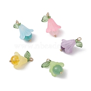 5Pcs 5 Styles Natural Amethyst & Dyed Quartz Crystal & Green Aventurine & Rose Quartz & Synthetic Green Turquoise Pendants, Flower Charms with Acrylic Leaf, Mixed Color, 22x14x14mm, Hole: 3mm, 1pc/style(PALLOY-TA00147)