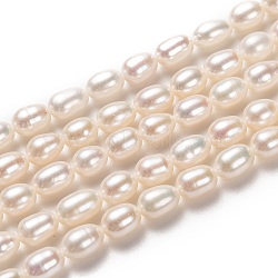 Natural Cultured Freshwater Pearl Beads Strands, Rice, Bisque, 6~7x5mm, Hole: 0.7mm, about 54pcs/strand, 14 inch(35.5cm)(PEAR-L033-67-01)