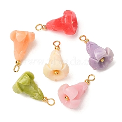 Dyed Synthetic Coral Pendants, Flower Charms with Brass Loops, Real 18K Gold Plated, Mixed Color, 22x13mm, Hole: 3mm(GG-CBAC295-02G)