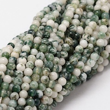 Natural Tree Agate Beads Strands, Round, 2mm, Hole: 0.5mm, 190pcs/strand, 15.7 inch