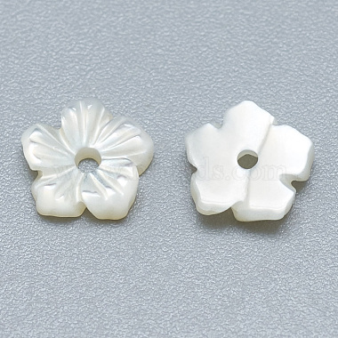 Natural White Shell Beads(SSHEL-S260-003)-2