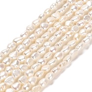 Natural Cultured Freshwater Pearl Beads Strands, Two Sides Polished, Grade 6A+, Linen, 5~6x3.5~4x3.8~4.2mm, Hole: 0.5mm, about 65pcs/strand, 14.17''~14.37''(36~36.5cm)(PEAR-E016-103)