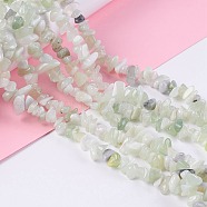 Natural New Jade Chip Bead Strands, 5~8x5~8mm, Hole: 1mm, about 31.5 inch(X-G-M205-29)