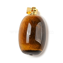 Natural Tiger Eye Pendants, Column Charms with Golden Plated Alloy Snap on Bails, 19.5x11mm, Hole: 4x4.3mm(G-D094-05A-G)