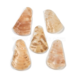 Natural Freshwater Shell Pendants, Trapezoid Charms, Antique White, 35.5~41x22~25x3.5~5mm, Hole: 1.4~1.6mm(SHEL-K009-06)