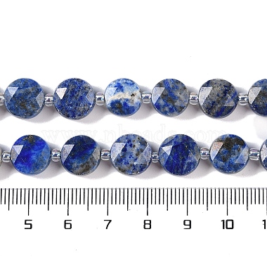 Natural Lapis Lazuli Beads Strands(G-N342-16)-5