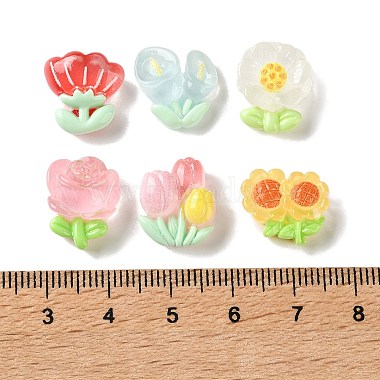 Transparent Resin Cabochons(RESI-G134-01)-3